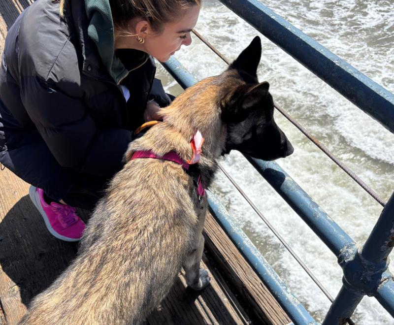 A person with a dog by their side looking at ocean waves together